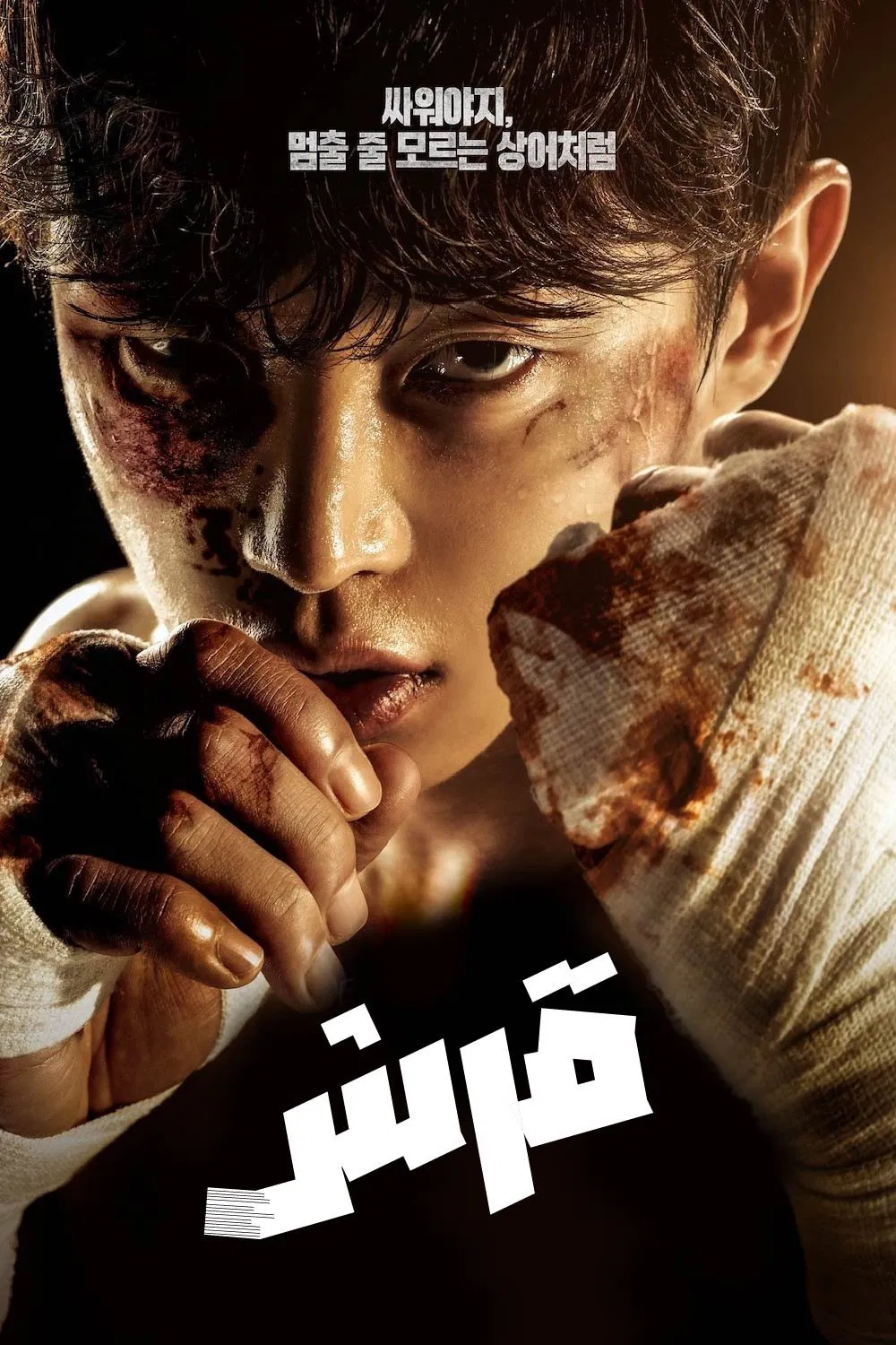 صورة الغلاف