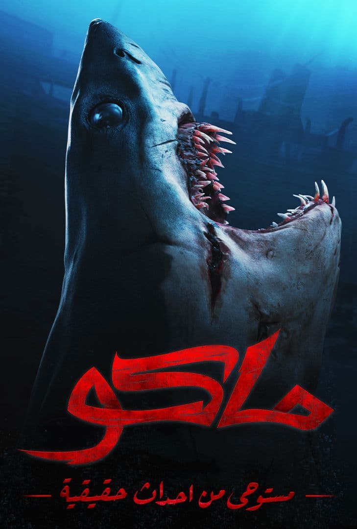 صورة الغلاف